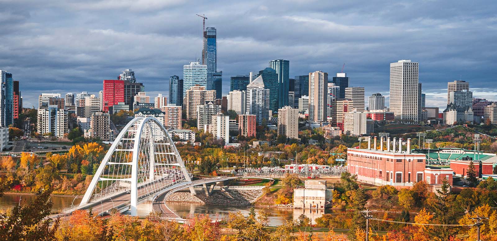 Student using laptop in modern office environment
